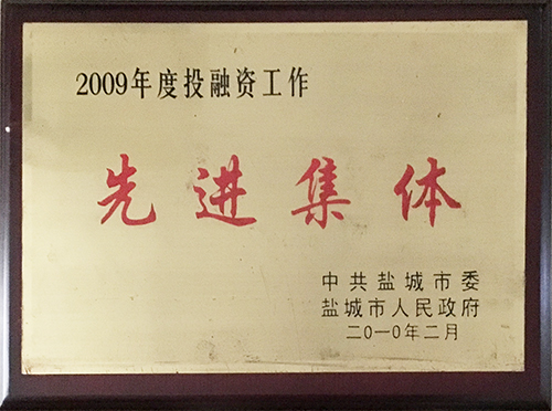 2010年2月投融資工作先進(jìn)集體.JPG